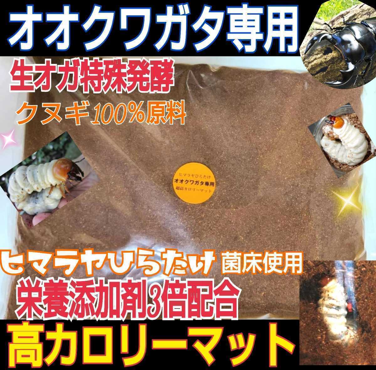 オオクワガタ専用☆超高カロリーマット☆生オガを特殊発酵！共生バクテリア・特殊アミノ酸など栄養添加剤を３倍配合☆クヌギ１００％原料！_画像1