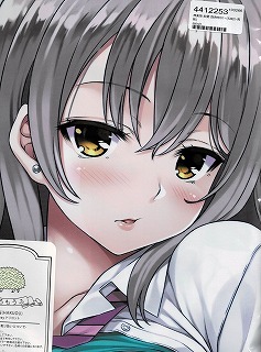 お手頃価格 Rip@Lip/迷娘、拾いました。/神楽坂紗蘭/抱き枕カバー/水原優 抱き枕