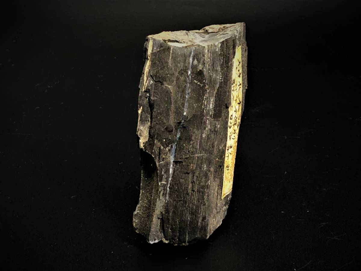 【珪化木　化石】　ランダイスギ系　新第三紀、中新世　二千万年前　　L0205E_画像2
