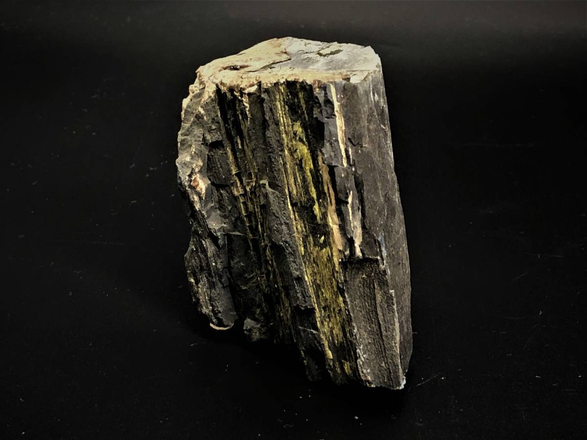 【珪化木　化石】　ランダイスギ系　新第三紀、中新世　二千万年前　　L0205E_画像3