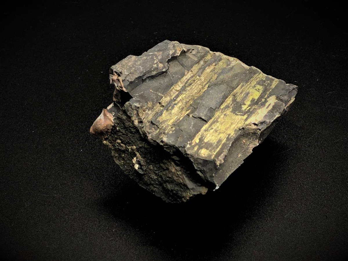 【珪化木　化石】　ランダイスギ系　新第三紀、中新世　二千万年前　　L0205E_画像10
