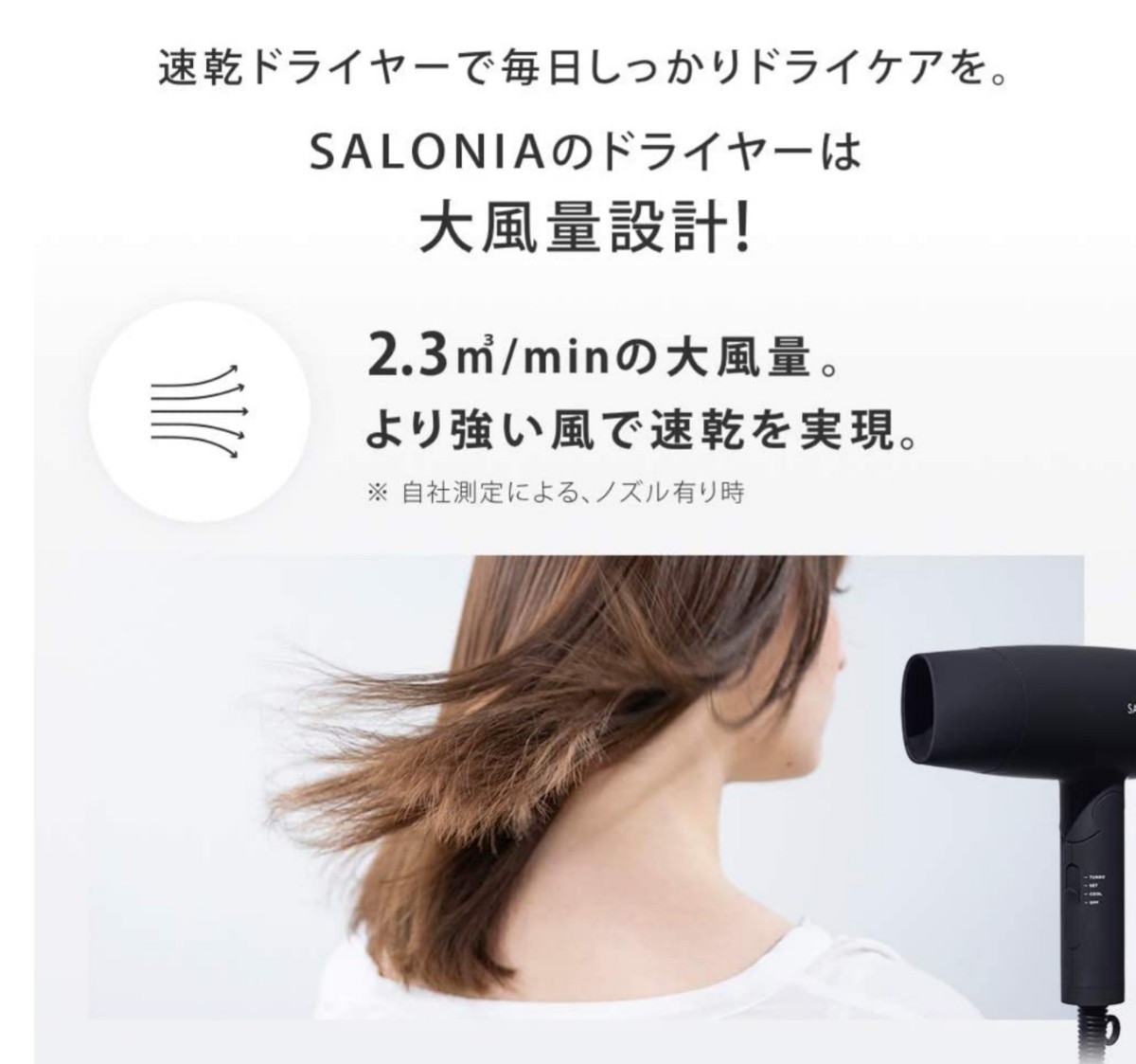 SALONIA サロニア スピーディーイオンドライヤー グレー ヘアドライヤー   マイナスイオン コンパクト  SL-013WH