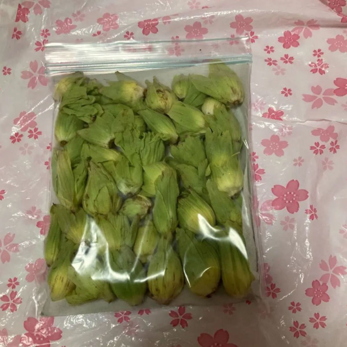 Paypayフリマ ふきのとう 150g 23日採取品 Paypayフリマ ふきのとう 150g 23日採取品