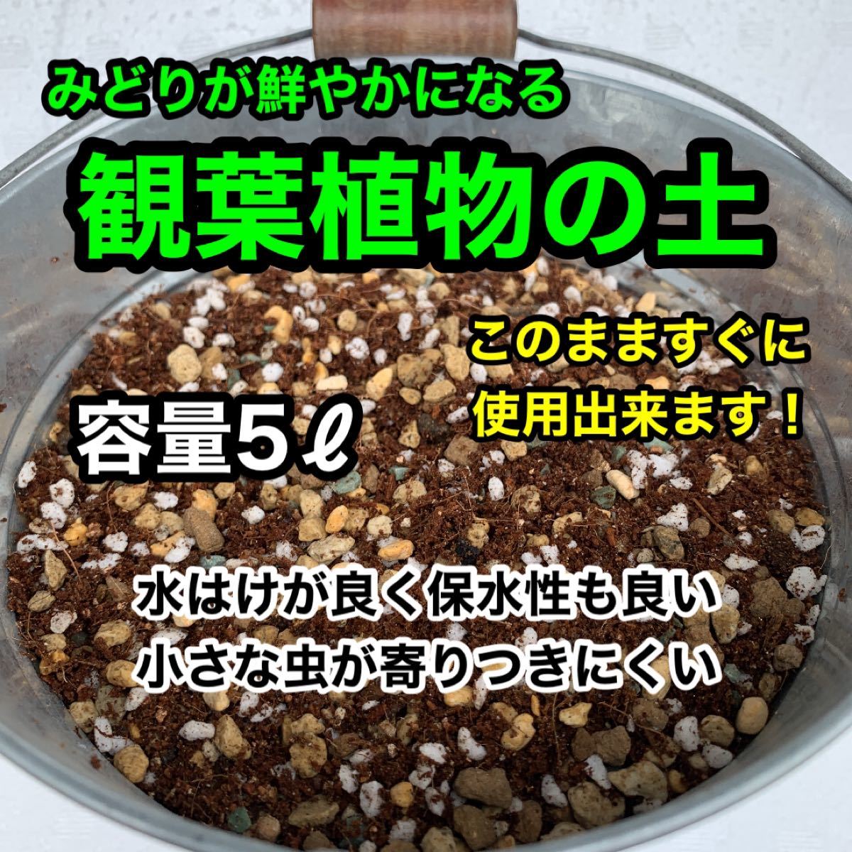 Paypayフリマ 観葉植物の土 観葉植物用土 観葉植物培養土 Paypayフリマ 観葉植物の土 観葉植物用土 観葉植物培養土