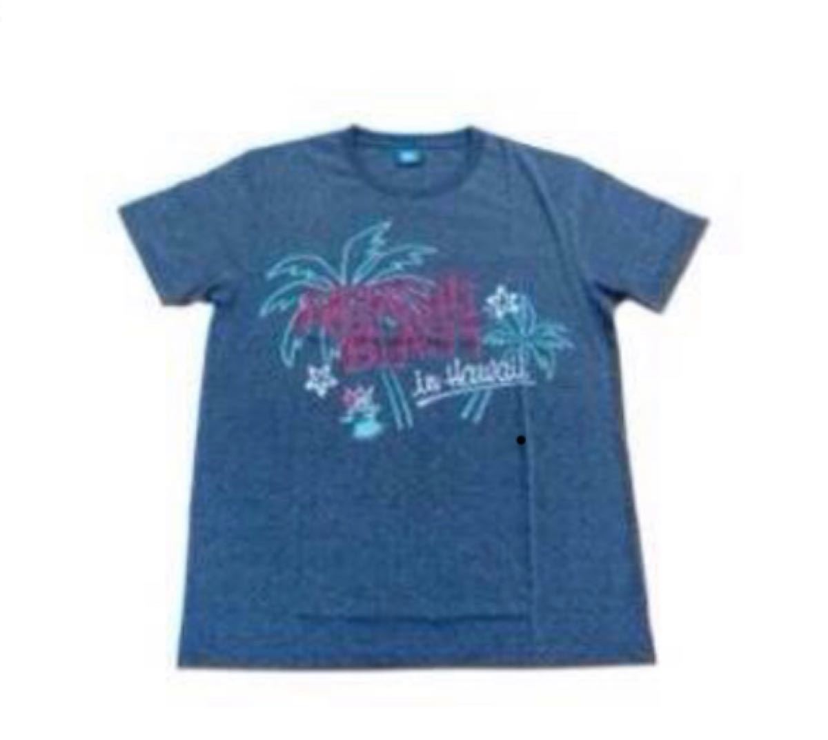 ARASHI BLAST in Hawaii☆Tシャツ新品！
