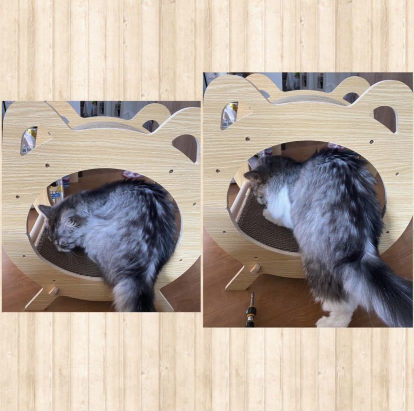 ギフト ❤可愛い猫耳 丸型の北欧デザインでお洒落 ❤愛猫用 爪研ぎ