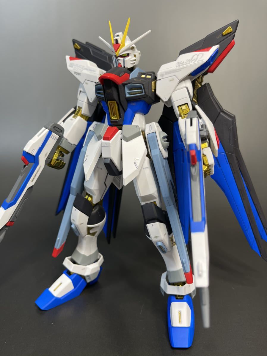 MG 1/100 ZGMF-X20A・ZGMF-X19A ストライクフリーダムガンダム MG 1/100 ZGMF-X20A・ZGMF-X19A ストライクフリーダムガンダム