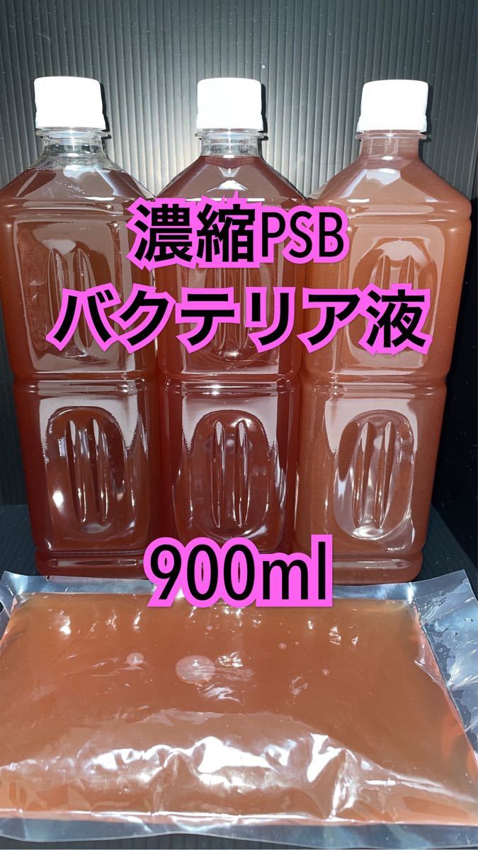 Paypayフリマ 濃縮psb光合成細菌バクテリア液900ml Paypayフリマ 濃縮psb光合成細菌バクテリア液900ml