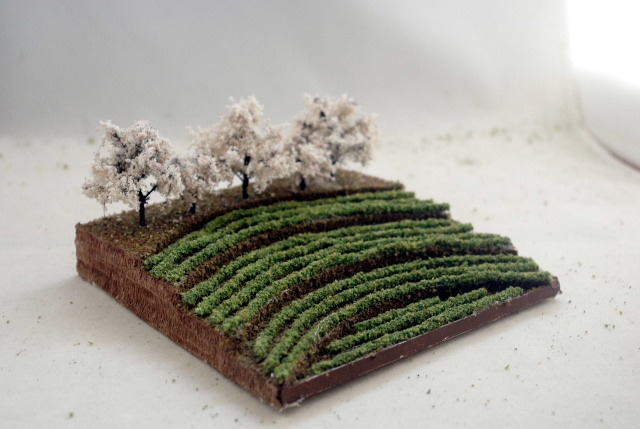 鉄道、建築模型　ジオラマ　桜と茶畑（小）_画像1