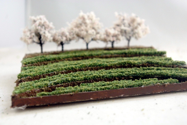 鉄道、建築模型　ジオラマ　桜と茶畑（小）_画像5