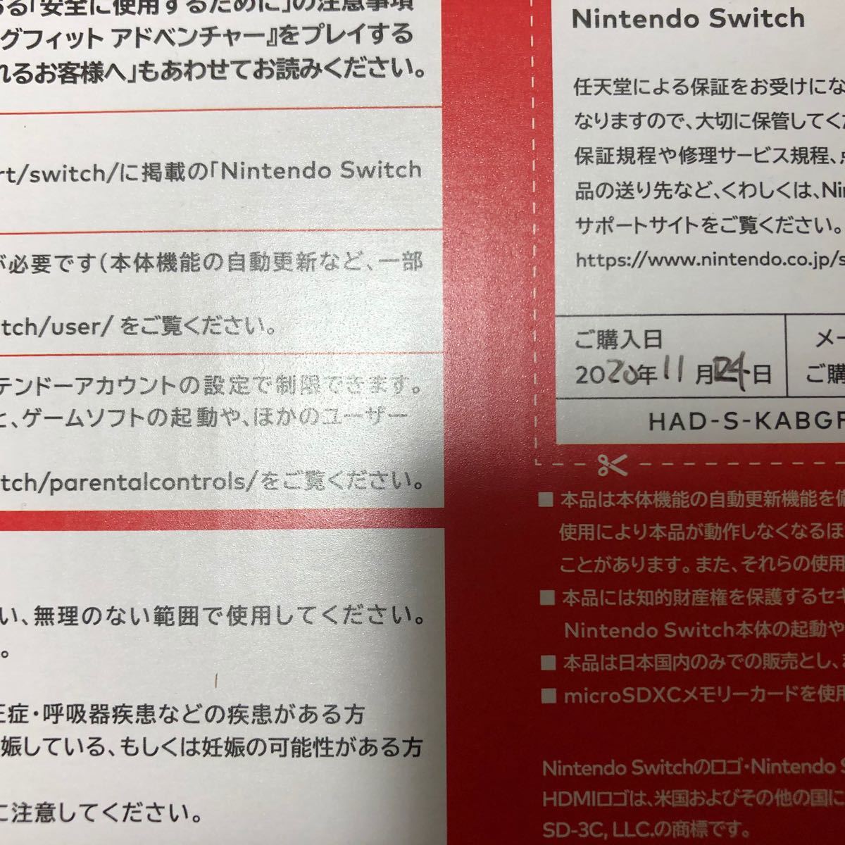 Nintendo Switch  ニンテンドースイッチ　リングフィットアドベンチャーセット