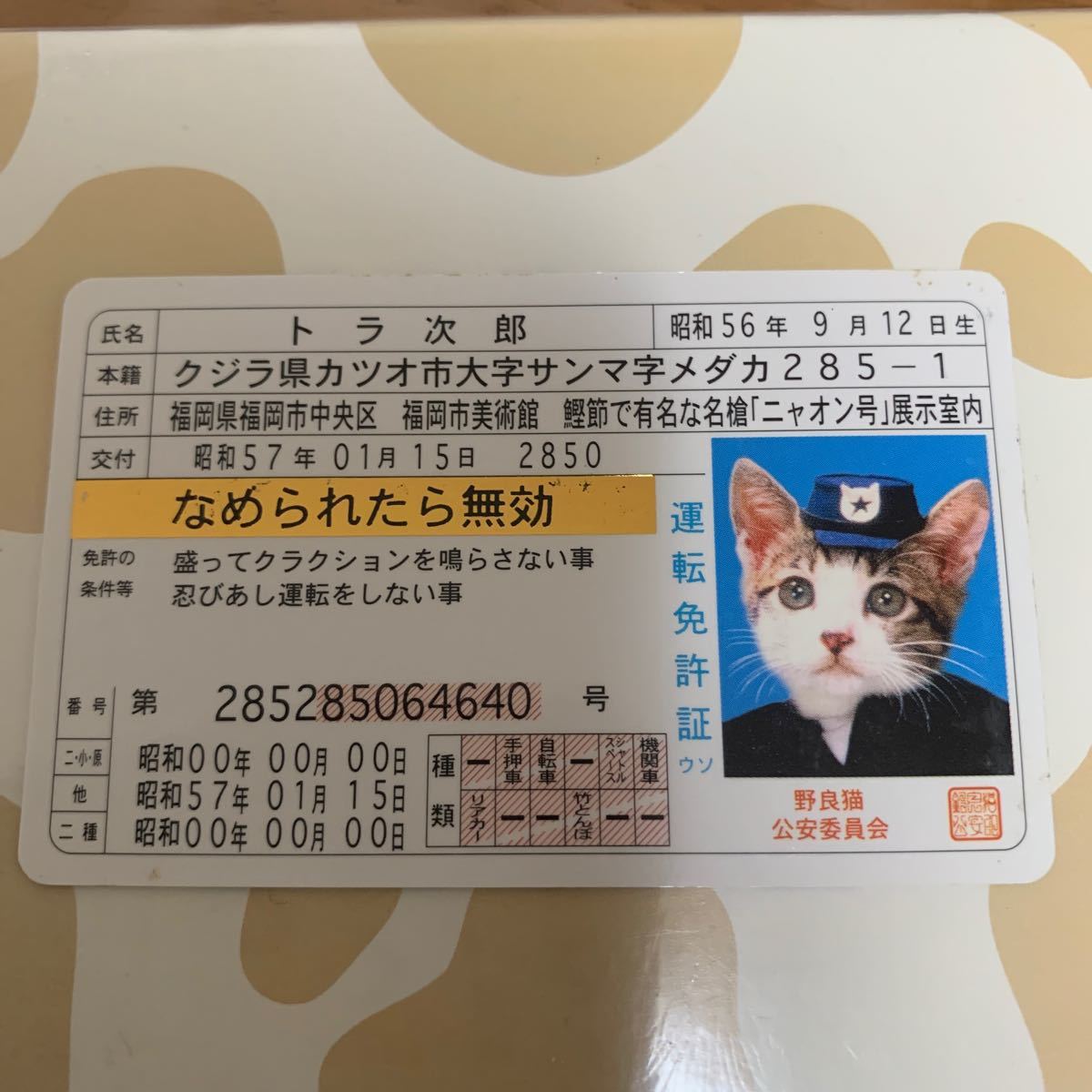 Paypayフリマ なめ猫 免許証 トラ次郎 ゴールド免許証 Paypayフリマ なめ猫 免許証 トラ次郎 ゴールド免許証