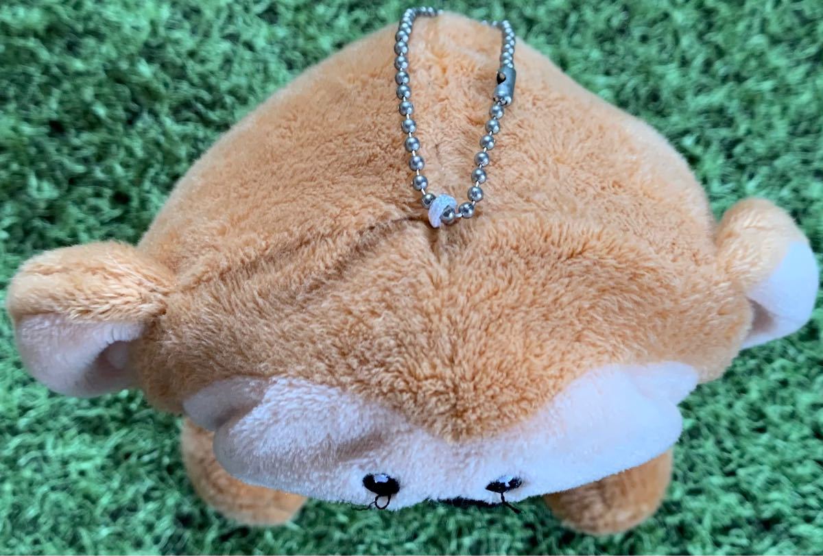 Paypayフリマ 東海オンエア ぬいぐるみ 動物バージョン モーリーファンタジー限定 としみつ りょう 虫眼鏡 しばゆー Paypayフリマ 東海オンエア ぬいぐるみ 動物バージョン モーリーファンタジー限定 としみつ りょう 虫眼鏡 しばゆー