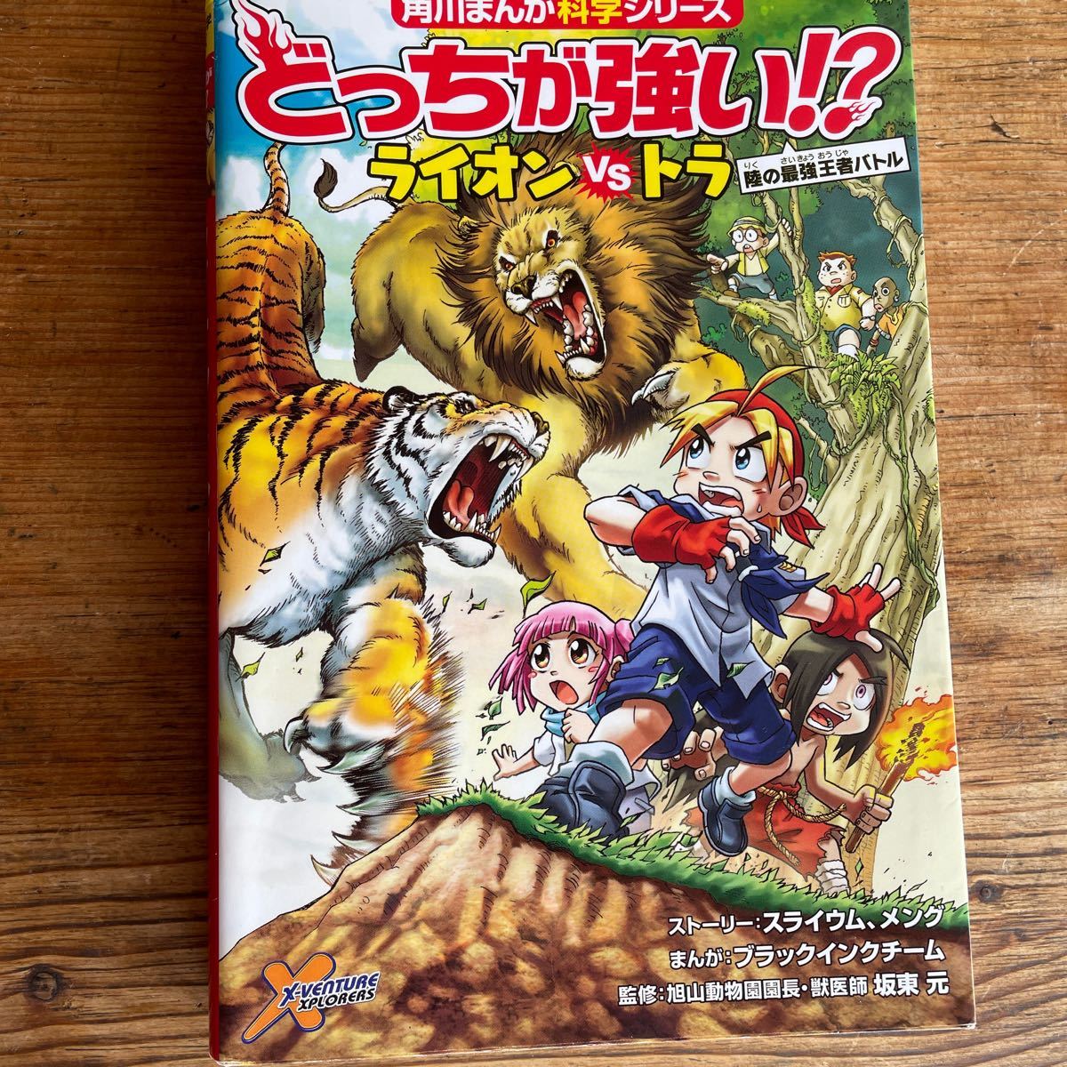 どっちが強い!? ライオンVS (たい) トラ 陸の最強王者バトル/スライウムストーリーメングストーリーブラックインクチーム