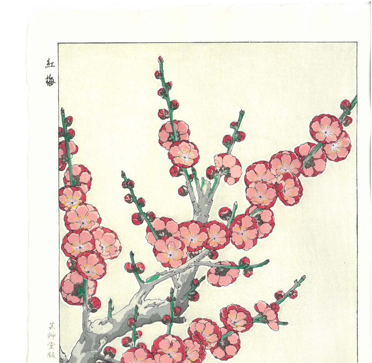 河原崎奨堂 (Kawarazaki Shodo) (1899~1973) 木版画 F22 紅梅 (Red