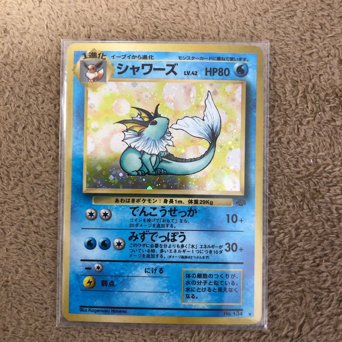 ポケモンカード 旧裏面 シャワーズ サンダース ブースター ポケモンカード 旧裏面 シャワーズ サンダース ブースター