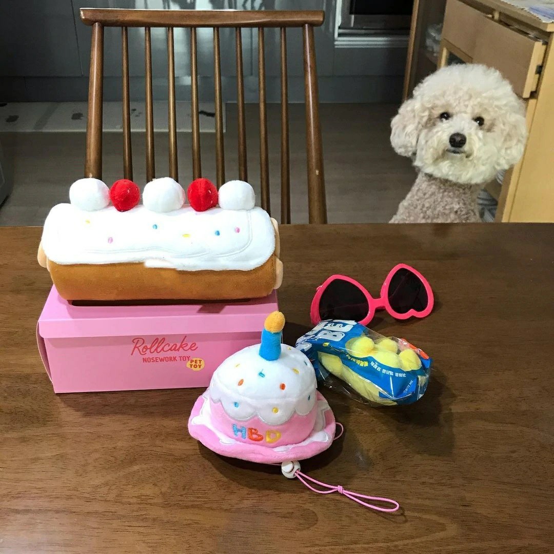 Paypayフリマ ノーズワーク Biteme 韓国 ロールケーキ いちご 犬 猫 Paypayフリマ ノーズワーク Biteme 韓国 ロールケーキ いちご 犬 猫