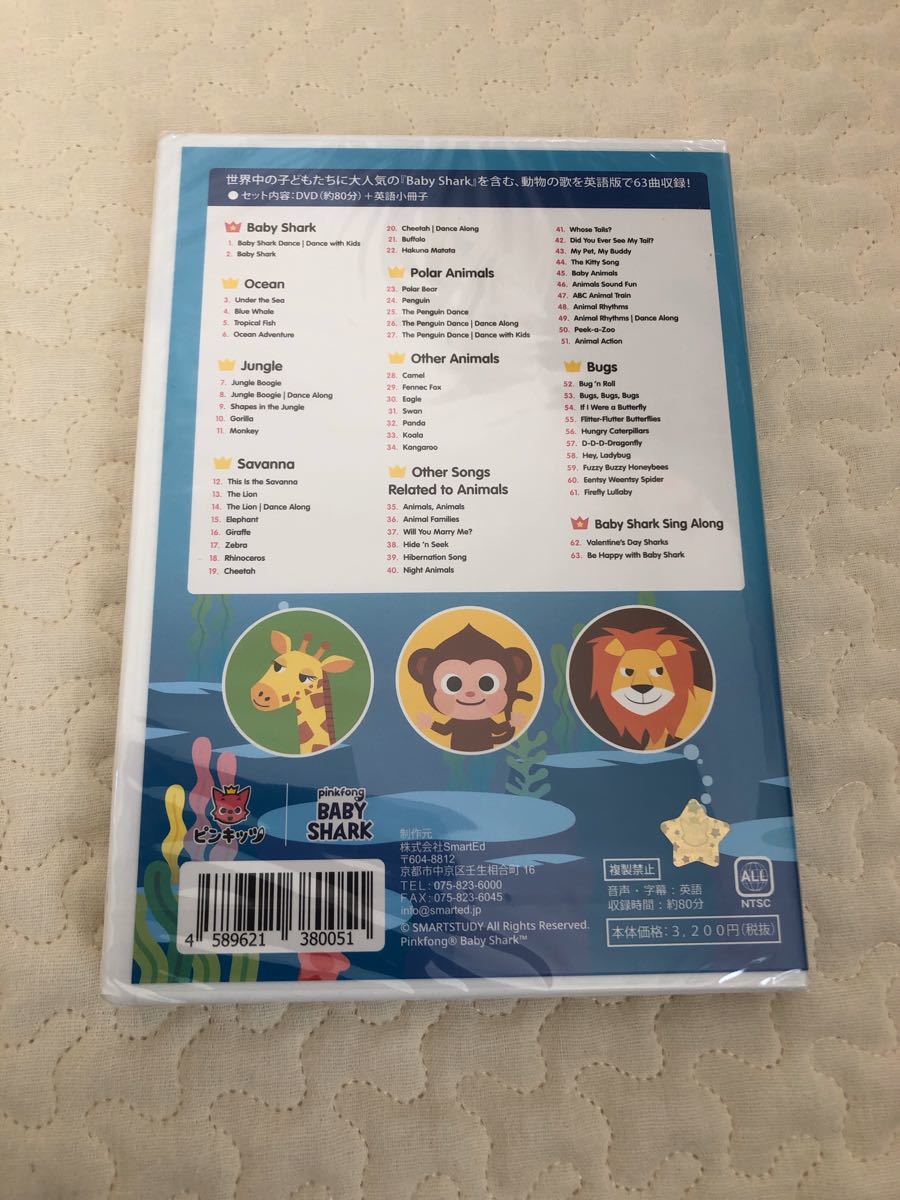 DVD ピンキッツ　英語　子供　ベイビーシャーク