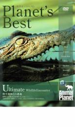 プラネッツ・ベスト 野生動物との遭遇 レンタル落ち 中古 DVD_画像1