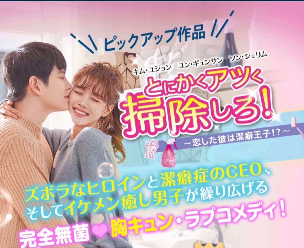 Paypayフリマ とにかくアツく掃除しろ 韓国ドラマ Dvd Paypayフリマ とにかくアツく掃除しろ 韓国ドラマ Dvd