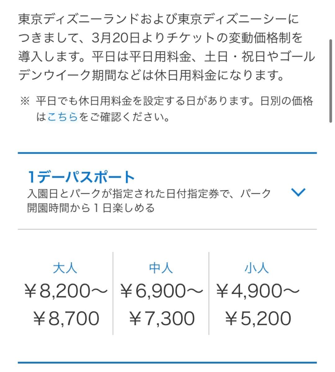Paypayフリマ 東京ディズニーランド チケット ペア Paypayフリマ 東京ディズニーランド チケット ペア