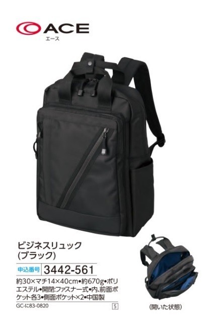 新品 ACE エース ビジネスリュック(ブラック) mossashoes.com
