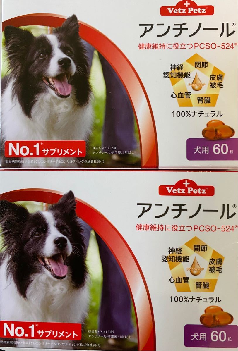 Paypayフリマ アンチノール犬用60粒 2箱セット Paypayフリマ アンチノール犬用60粒 2箱セット