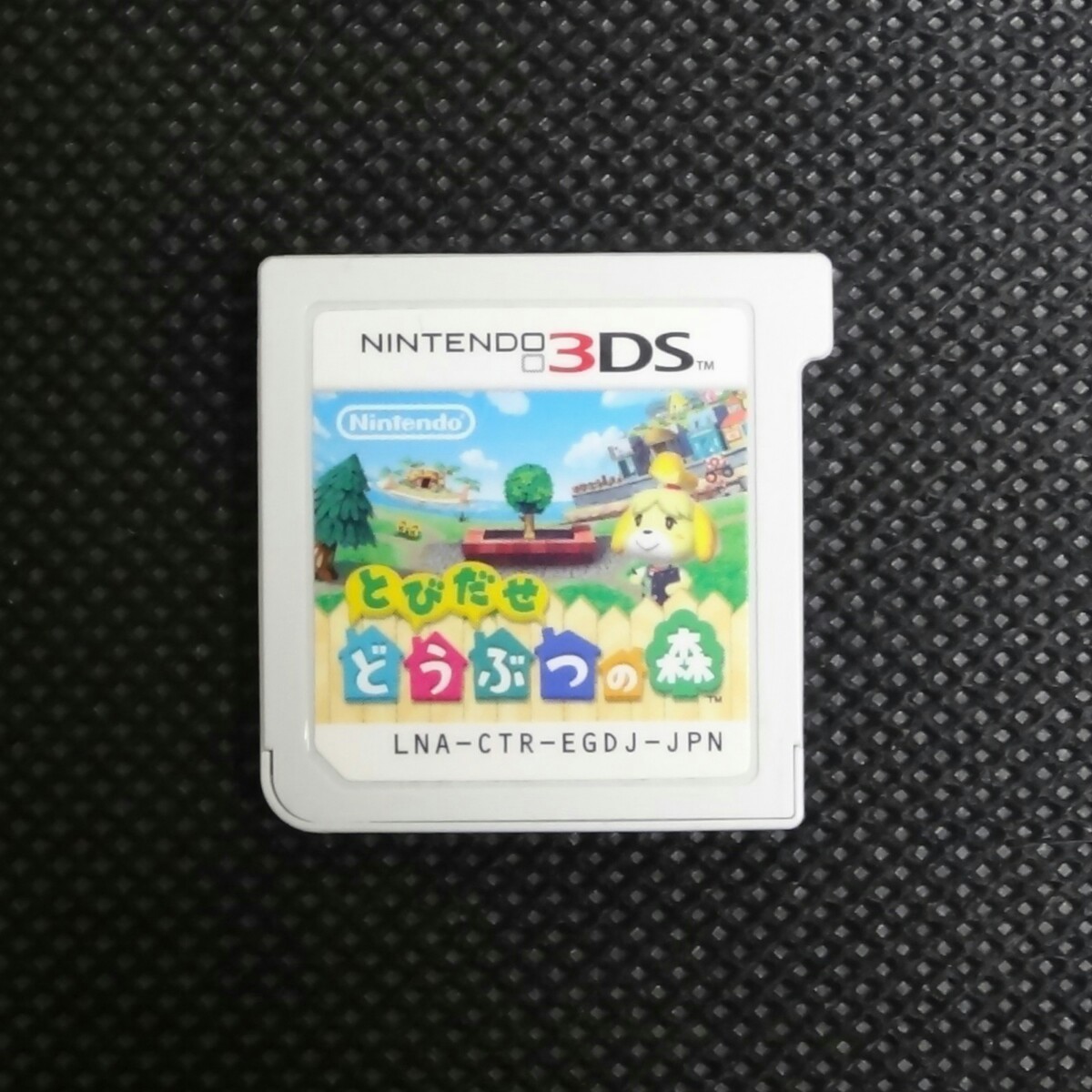 とびだせ どうぶつの森 Nintendo 3DSソフト