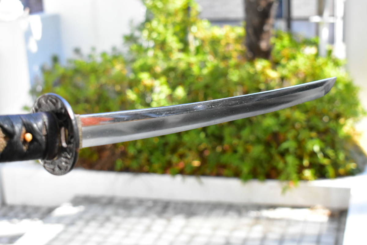 日本刀 脇差 わきざし 真剣 無銘 長さ39.4cm 重さ306g拵 鉄鍔 江州住 ...