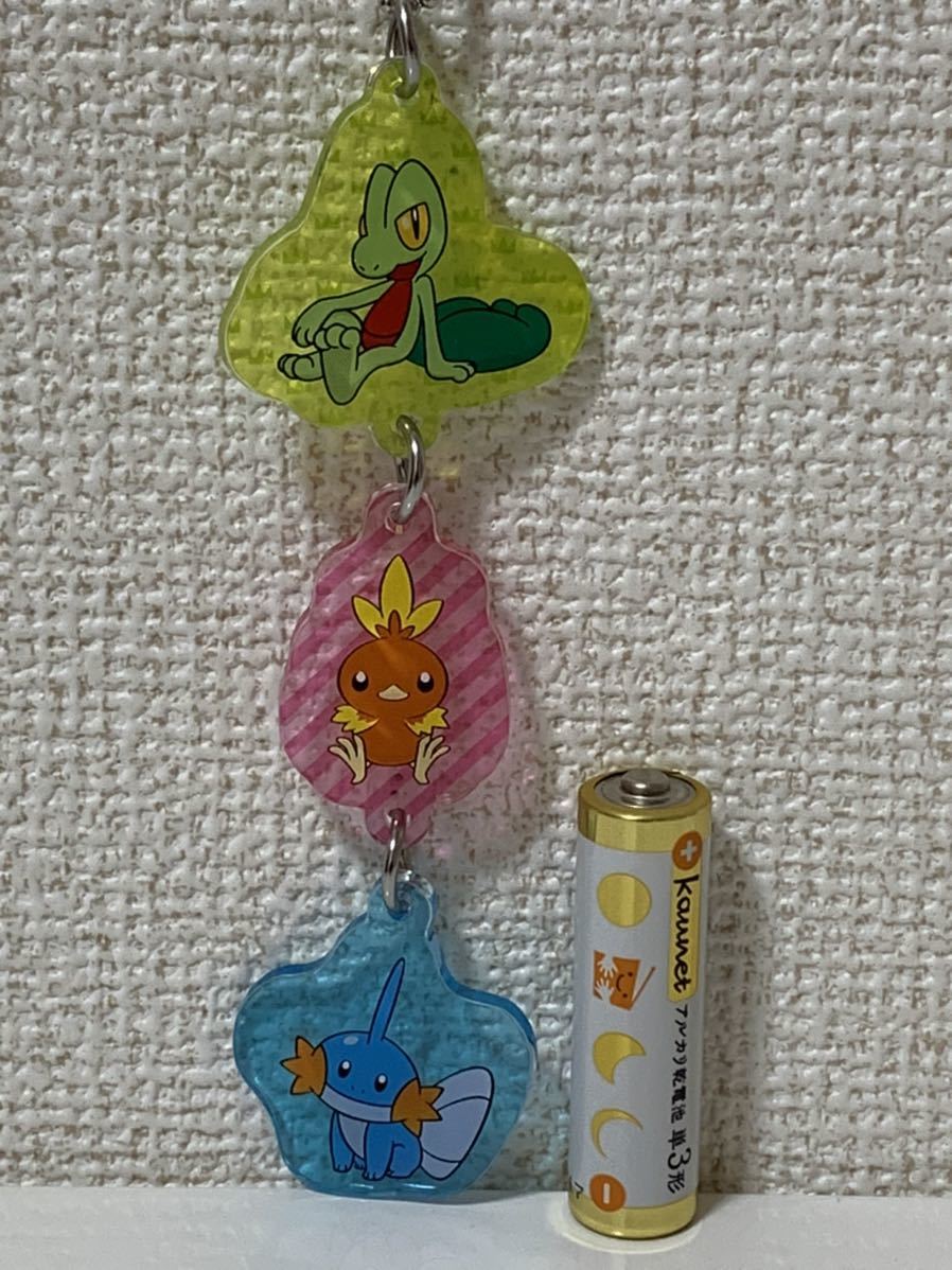 ヤフオク レア ポケモン キモリ アチャモ ミズゴロウ アク ヤフオク レア ポケモン キモリ アチャモ ミズゴロウ アク