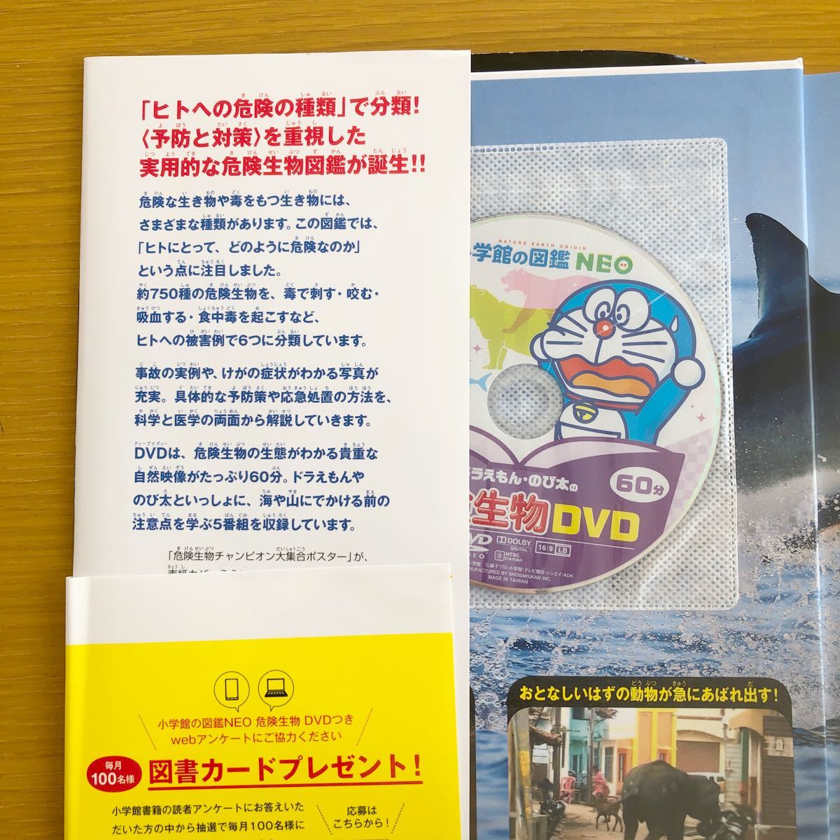 Paypayフリマ 小学館の図鑑neo 危険生物 表紙カバー Dvd付き 表紙帯にはプレゼントqrコード有り 定価20円