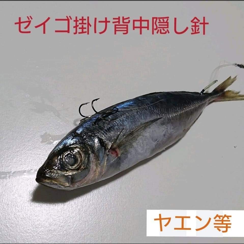 Paypayフリマ 必釣泳がせ太郎ws8セット Paypayフリマ 必釣泳がせ太郎ws8セット