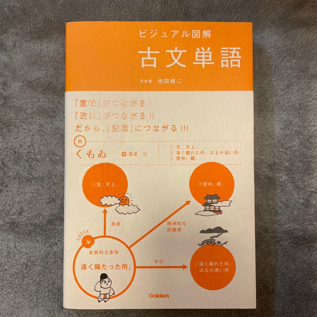 古文単語 ビジュアル図解/池田修二