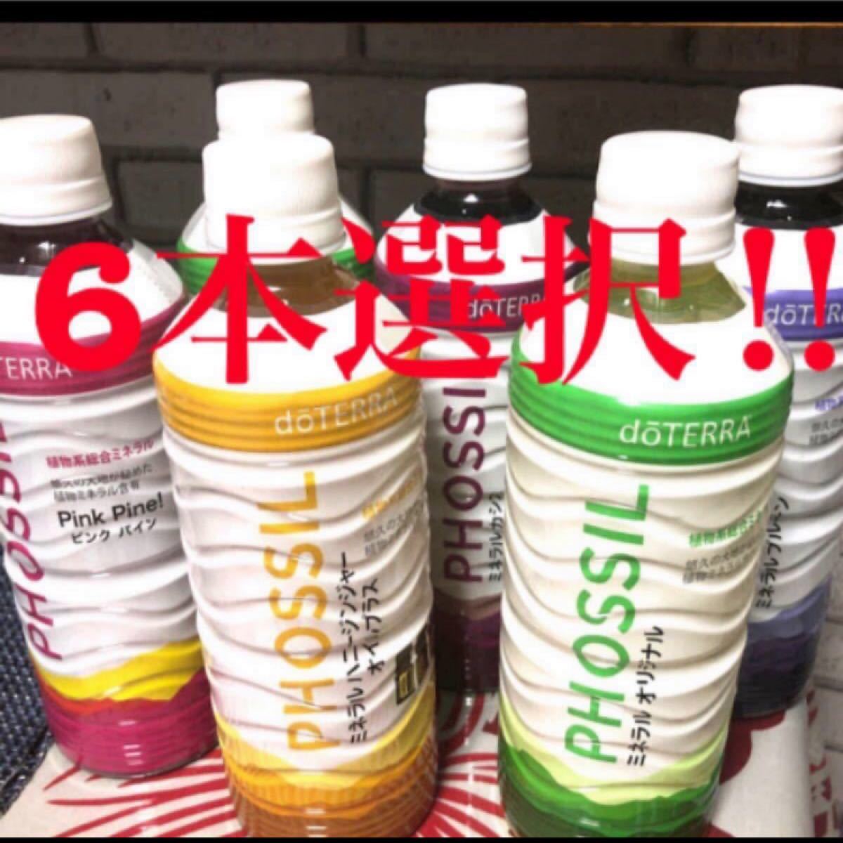 ドテラ ミネラル6本とオイル ipv6.timepharma.com