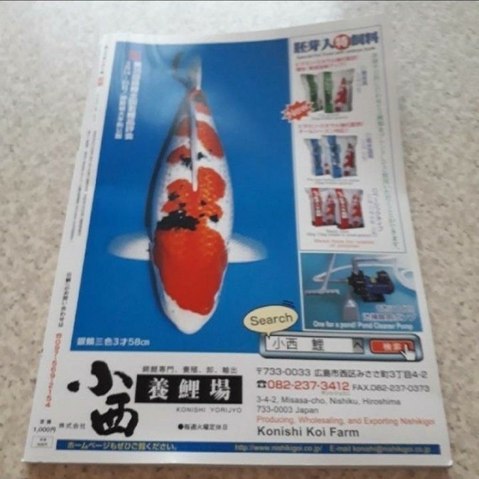 日鱗　ニチリン　にちりん　2018　鯉　錦鯉　コイ　魚　本　雑誌　専門書