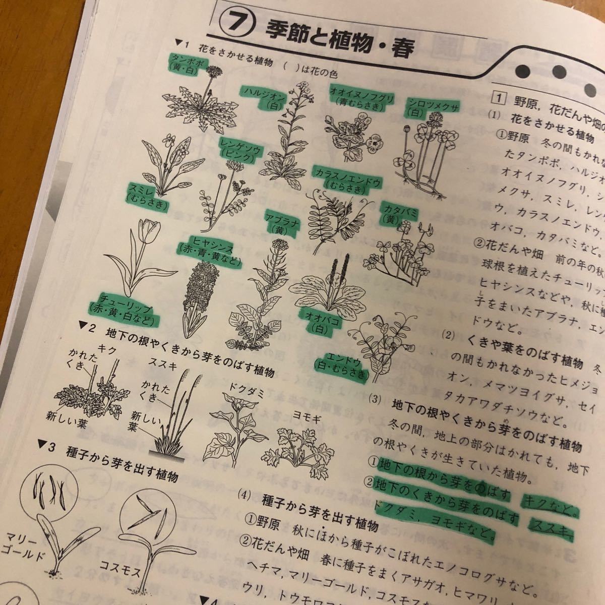 新小学問題集 中学入試編　理科ステージ2 ステージ3（ステージ1） 理科 中学受験 サピックス