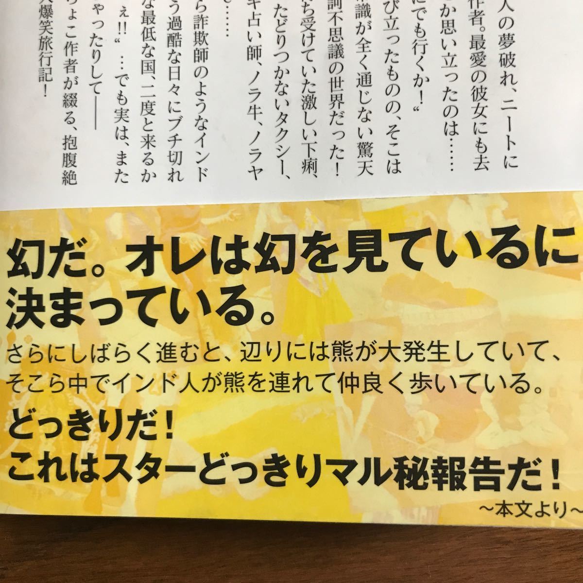 Paypayフリマ インドなんて二度と行くか ボケ でもまた行きたいかも アルファポリス文庫 さくら剛 著 Paypayフリマ インドなんて二度と行くか ボケ でもまた行きたいかも アルファポリス文庫 さくら剛 著