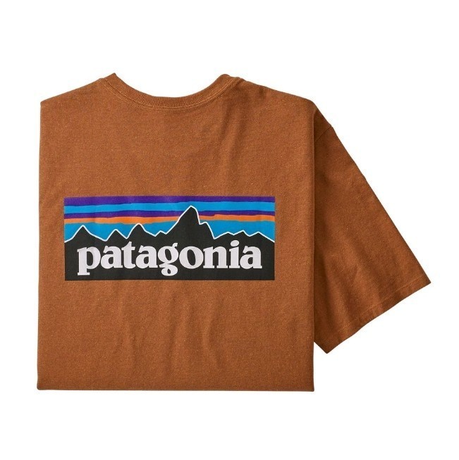Lサイズ　パタゴニア tシャツ ロゴt P-6ロゴ レスポンシビリティー