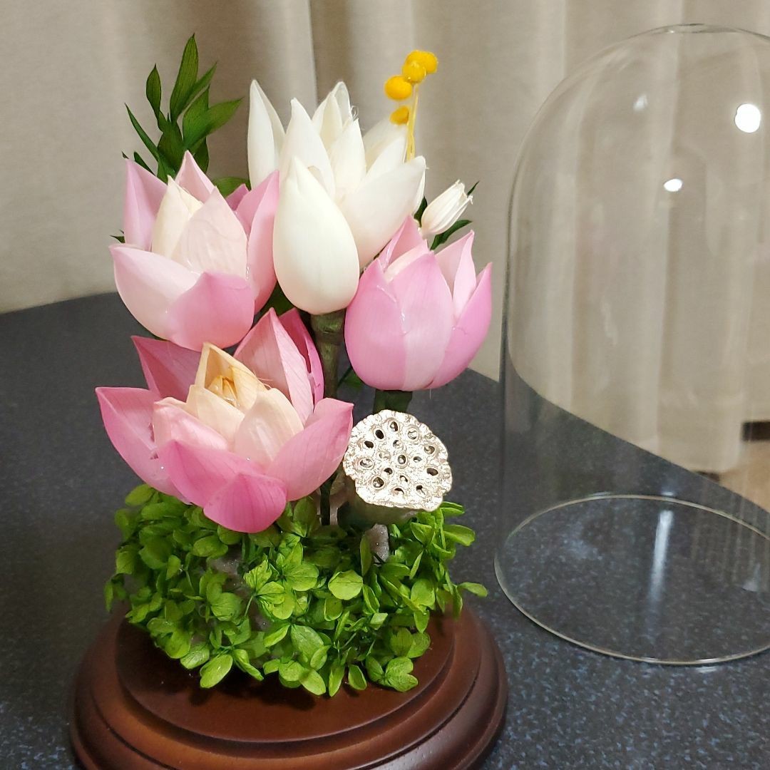 新品】 特選 プリザーブドフラワー 蓮の花 (清らかな心) ガラスドーム ...