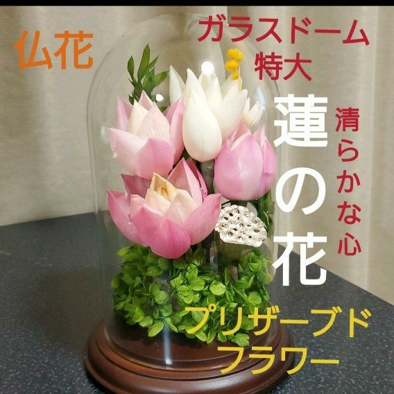 新作商品 特選 プリザーブドフラワー 蓮の花 (清らかな心) ガラス