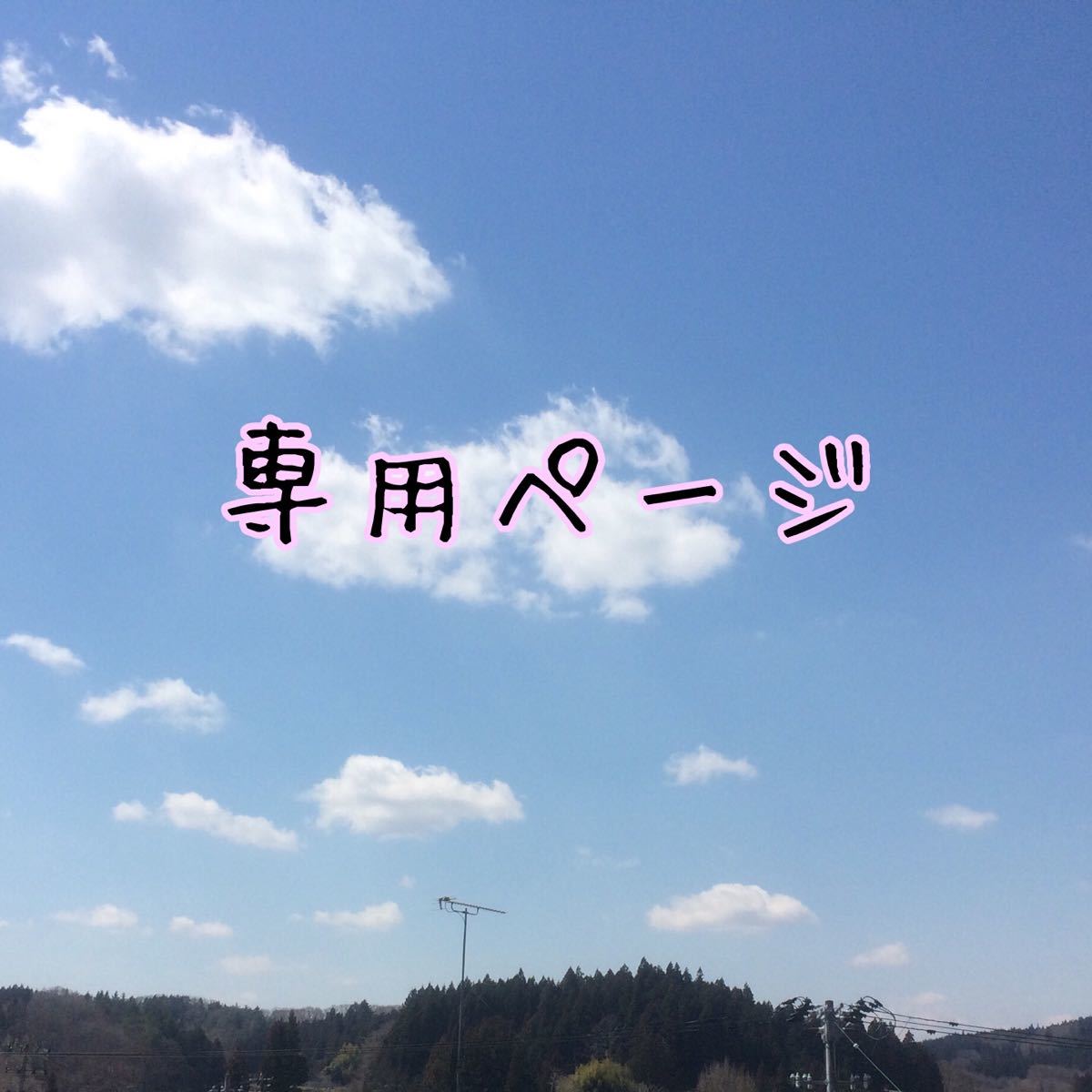 そるとりん 様 専用ページ|PayPayフリマ
