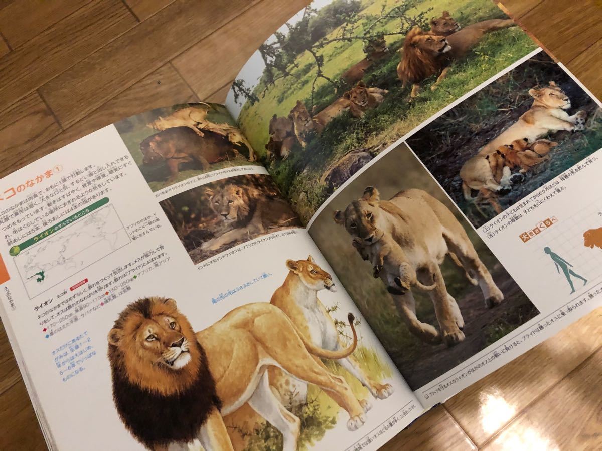 Paypayフリマ 動物図鑑 ポプラディア大図鑑 Wonda 図鑑 Paypayフリマ 動物図鑑 ポプラディア大図鑑 Wonda 図鑑