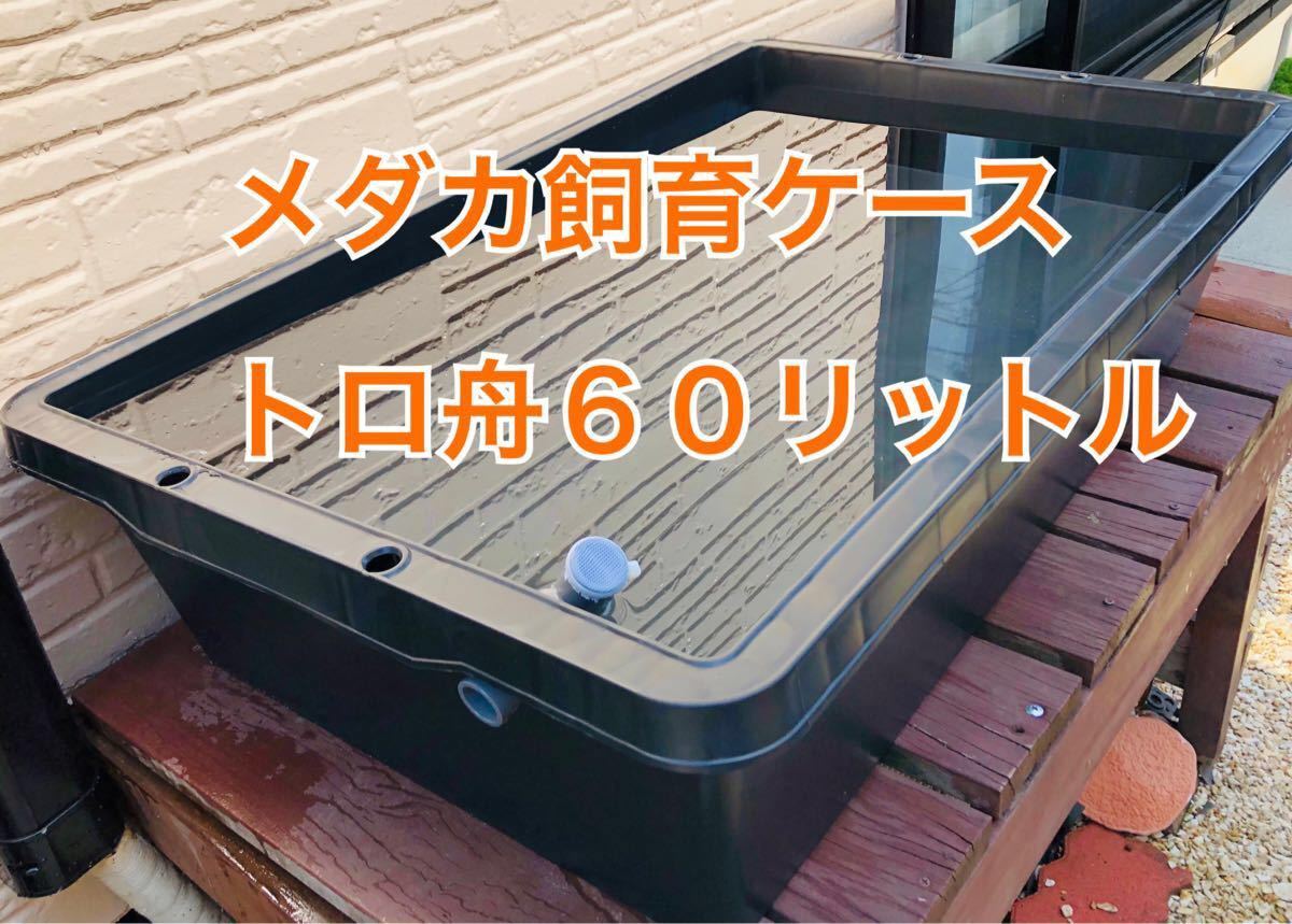 Paypayフリマ メダカ飼育ケース トロ舟60リットル Paypayフリマ メダカ飼育ケース トロ舟60リットル