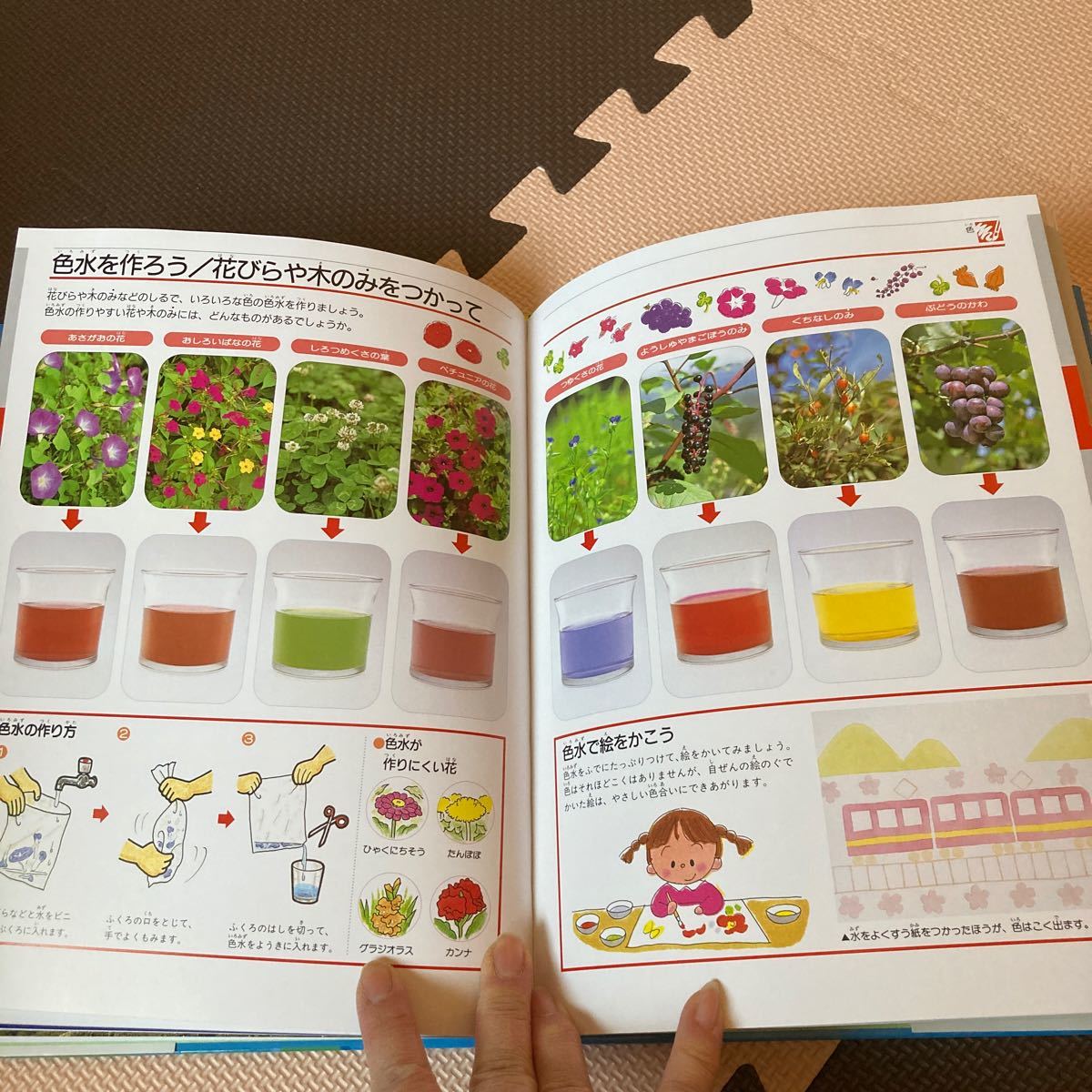 かがくあそび ふしぎをためすががく図鑑／フレーベル館 (その他)