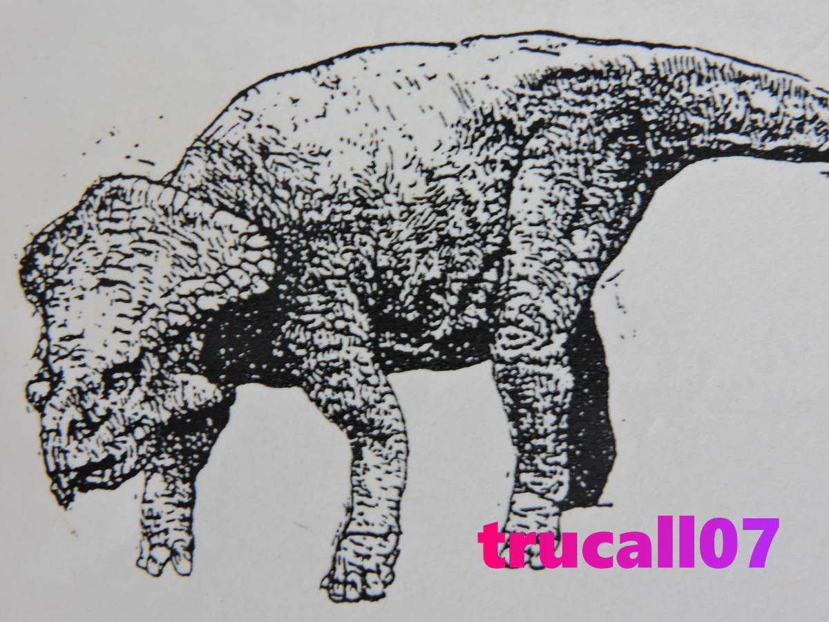 プロトケラトプス / ガレージキット (ALUCARD・protoceratops・角竜・トリケラトプス・恐竜・ガレキ・キャスト)