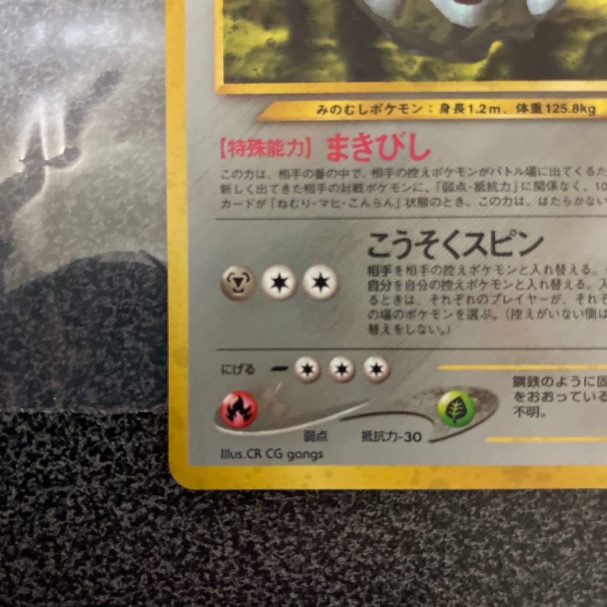 Paypayフリマ ポケモンカード 旧裏面 フォレスト Paypayフリマ ポケモンカード 旧裏面 フォレスト