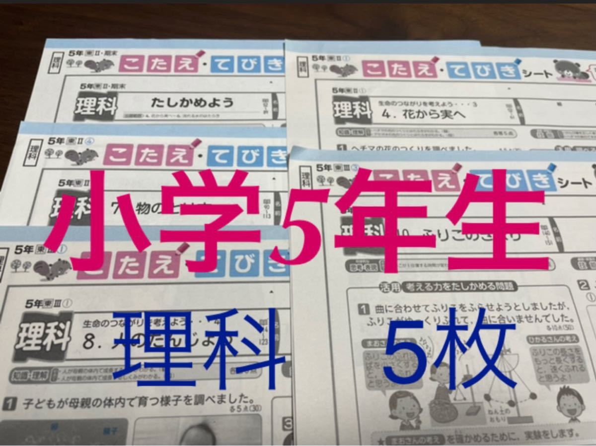 Paypayフリマ 8 理科 小学5年生 カラーテスト 答え てびき