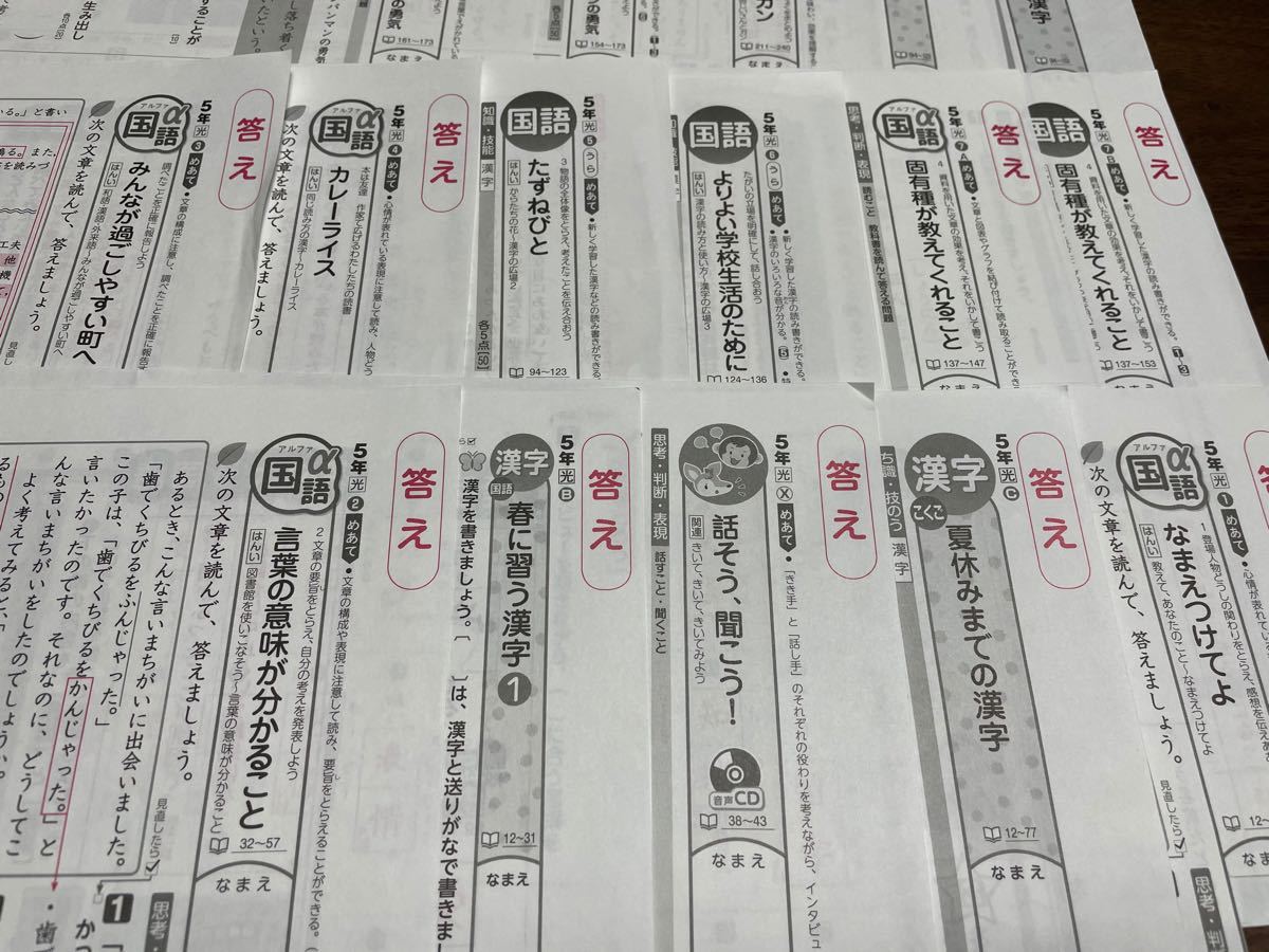9. ☆ 国語 ☆ 小学5年生 カラーテスト 答え 16枚