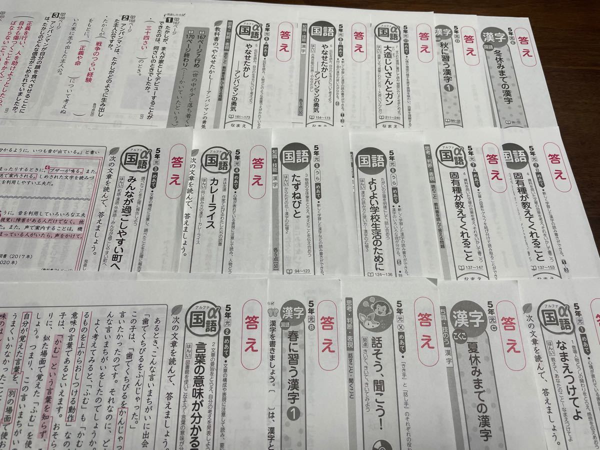 9. ☆ 国語 ☆ 小学5年生 カラーテスト 答え 16枚