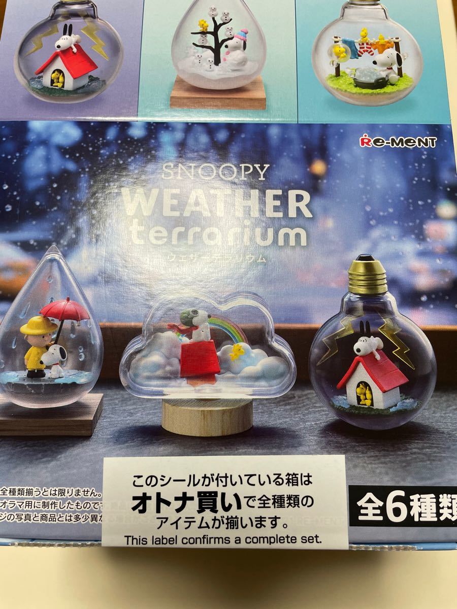 Paypayフリマ コンプリート スヌーピー ウェザーテラリウム コンプセット 全6種 Paypayフリマ コンプリート スヌーピー ウェザーテラリウム コンプセット 全6種